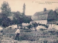 Montreuil Bonnin - le moulin du roi et les prairies