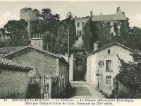 Montreuil Bonnin - le château